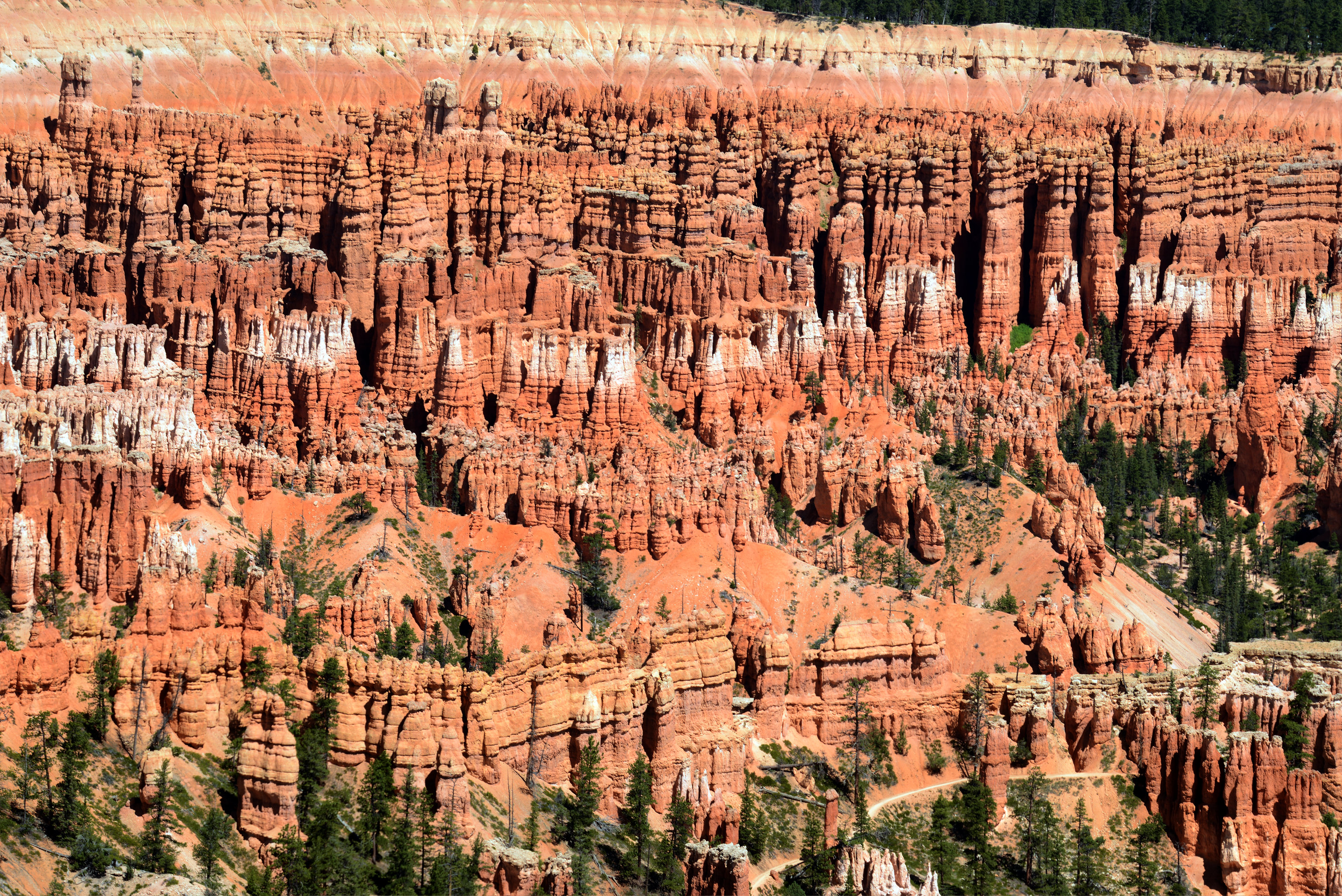 Bryce Canyon, Utah 135